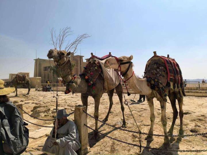 Thoth Pyramids Inn Kafret el-Gabal Exteriér fotografie